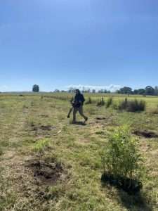 Habitat Restoration