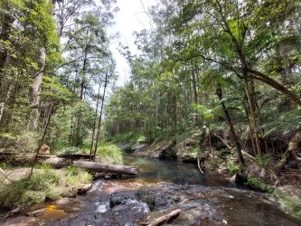 Subtropic Environmental Land Regeneration and Recovery Subtropic Environmental Land Regeneration and Recovery